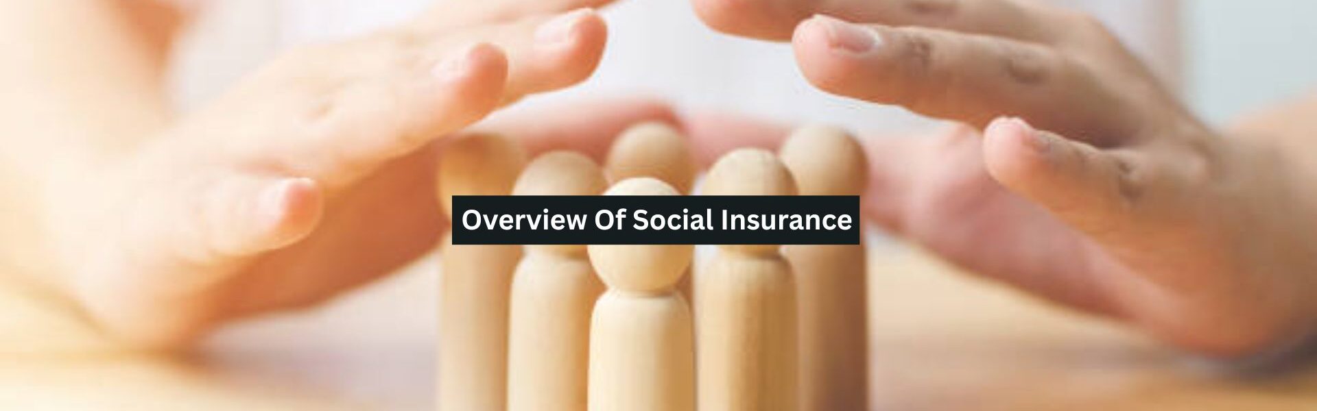 Social Insurance