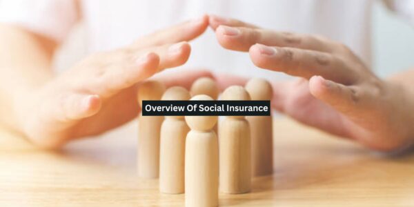 Social Insurance