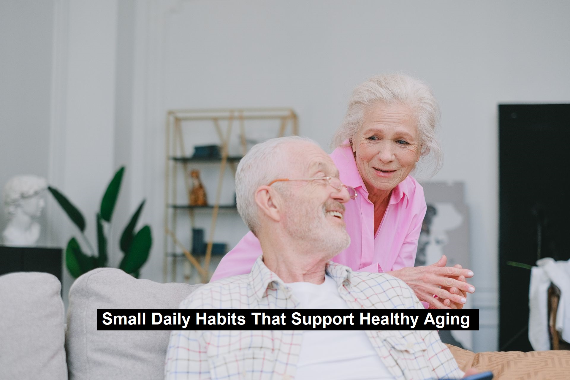 Support Healthy Aging